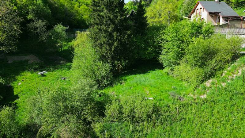 vlcsnap-2025-05-04-16h21m24s943 (1).jpg