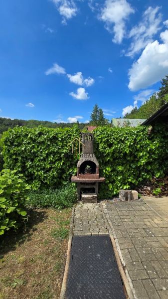 20260521_122934.jpg
