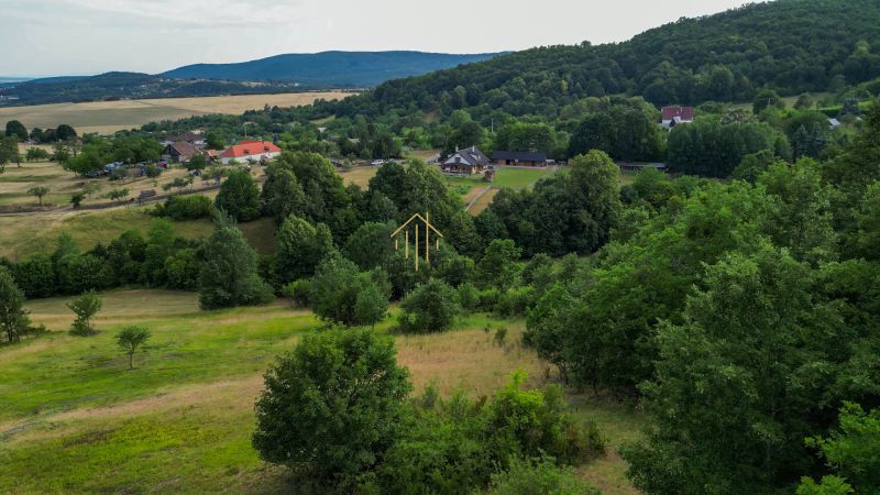 vlcsnap-2026-07-17-14h50m13s253.jpg